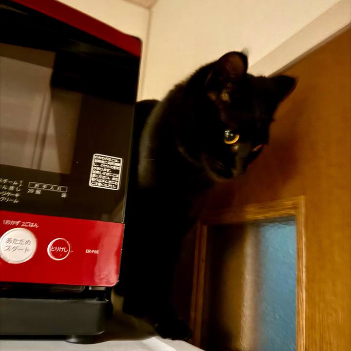 972488f6 c06f 4874 8c28 3bf264ed61d3 1737680551288