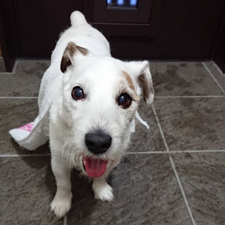 97248f9a 976a 42fb 80d7 6f29569e6b88 1559087332111