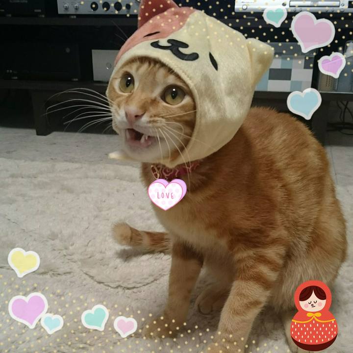 972495ad 2cc4 4516 bf24 25415b326bdc 1518609172781