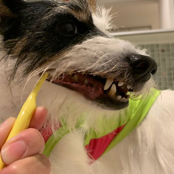 97249d2e bea7 436c bfc5 c5e30cb64340 1699619636321