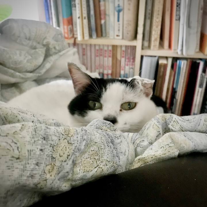 9724e301 2753 4e56 8173 0e0818eb56ca 1664805770034