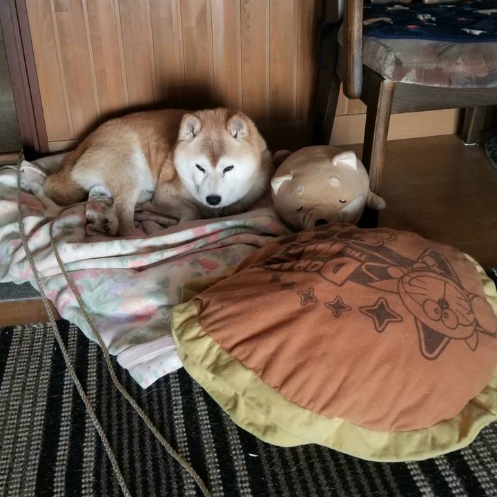 9724fcaf e263 47d4 95fe 86734ef6e10a 1716510236356