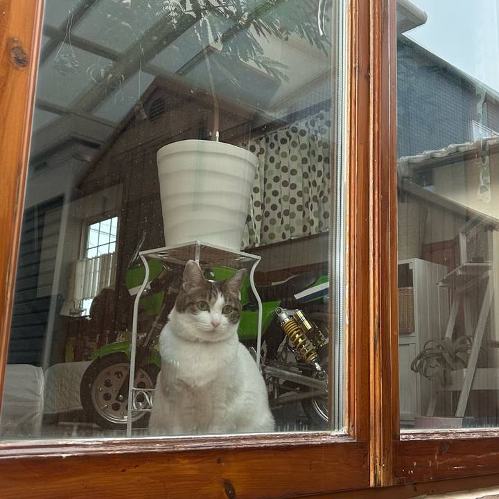 9725179b d036 4e03 9f69 06317666b000 1674891502748