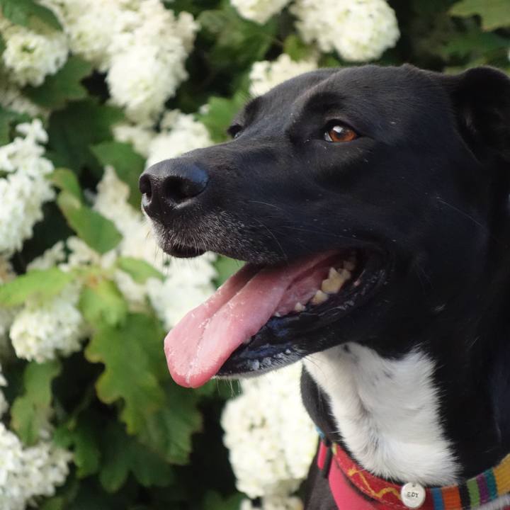 972534f8 47e6 4507 8ab0 b603ed60127a 1591526839463