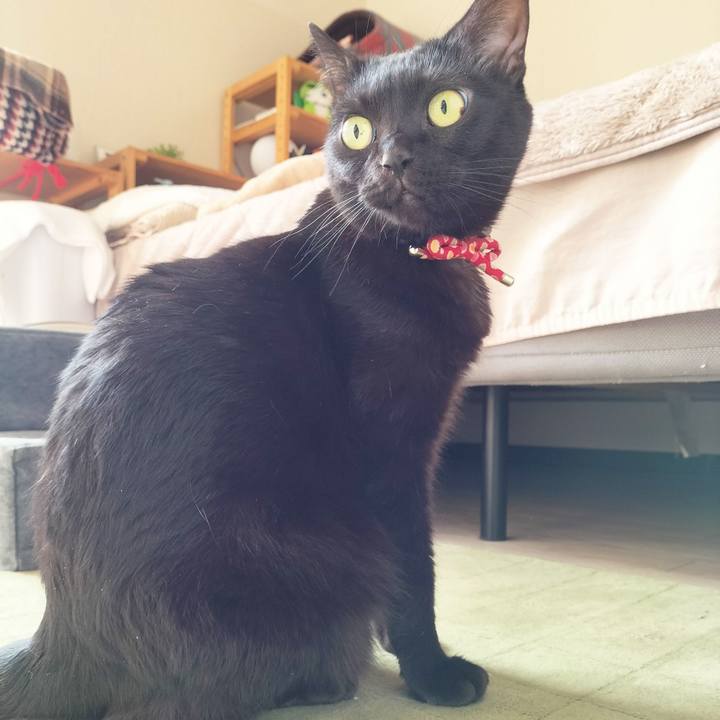 972555c8 11ae 49df 8c55 14d886d212de 1674949902792