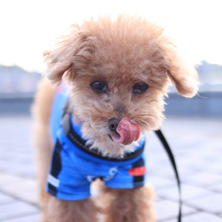 97257334 5ac1 4520 89f4 b3823573965c 1635982787972