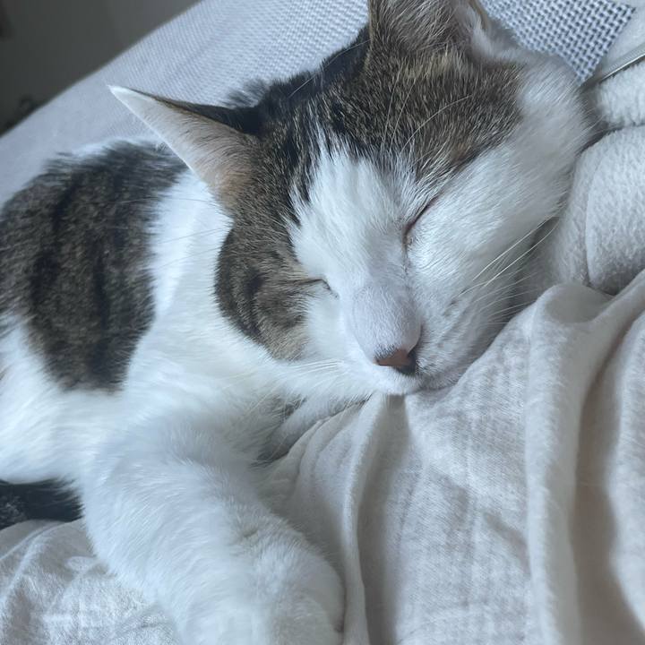 9725756d bb16 4609 ae3a 776458d08b5e 1767595676961