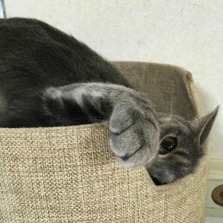 97257be0 a08e 4be7 a89d 6ea614035a5e 1609934926266