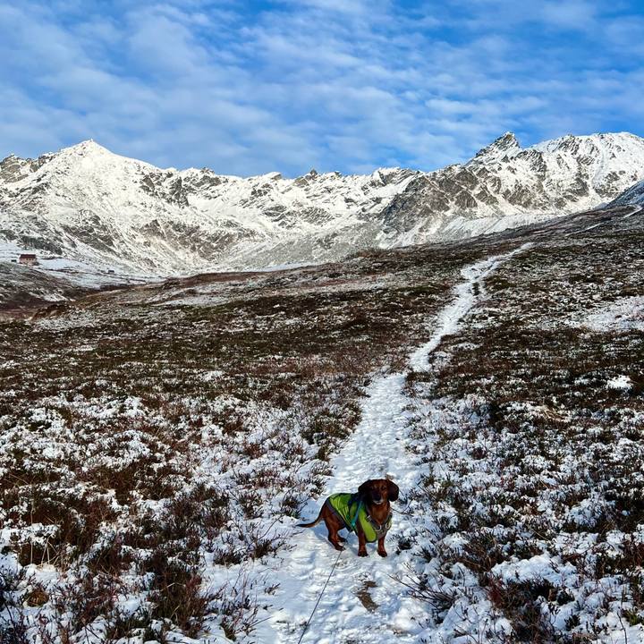 972592c7 2b3d 40be 8bc8 31e3d0072c8f 1762668731970