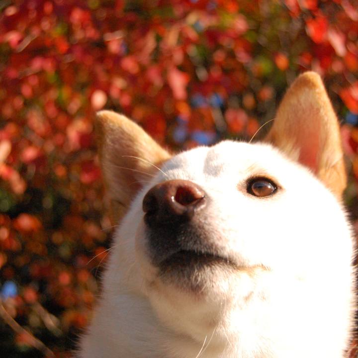 9725ce10 b031 4574 88ea ba43ec01d157 1510045495042