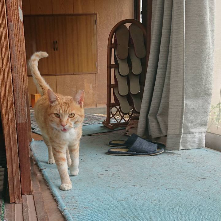 97260367 0af1 490f 8253 780206f659bd 1589689960764