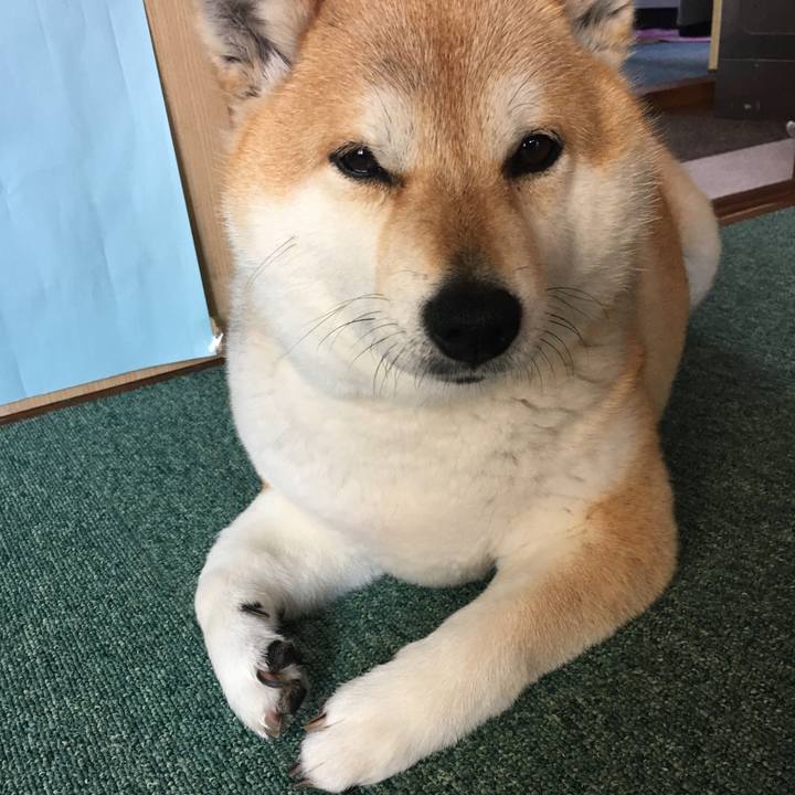 9726085f 7262 4e81 8df9 f4db6849a4c0 1585194592437