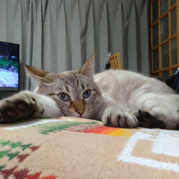 97262538 5d34 47bc bbe7 5be08906f2d2 1632664132056