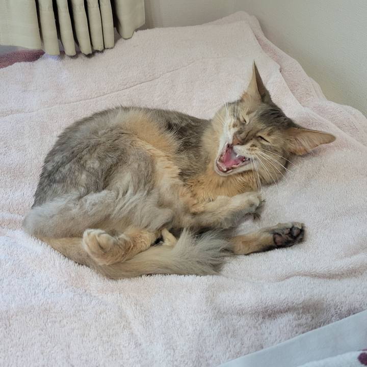 97263495 c8f2 4b7d 8aa9 477ea38b9f50 1654155285066