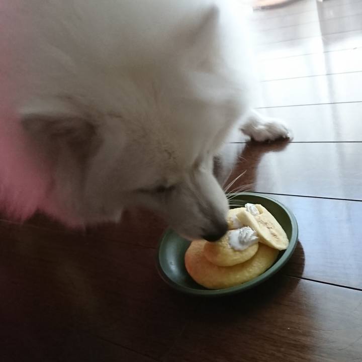 97266a4b d79c 4415 8499 543ab3d0dc99 1560321745208