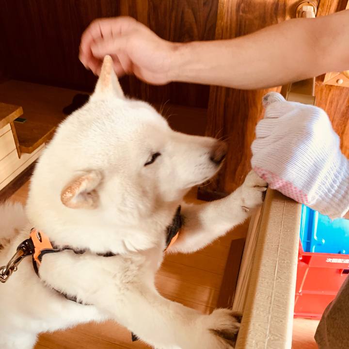 97267d57 8ab0 43ee 9228 1d03078c51c7 1649710831125