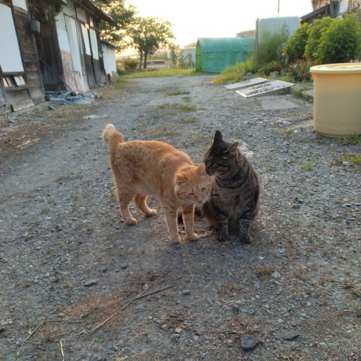 9726e7f2 1d27 4b2f 8bb8 6d9c1b6dbc44 1690668582785