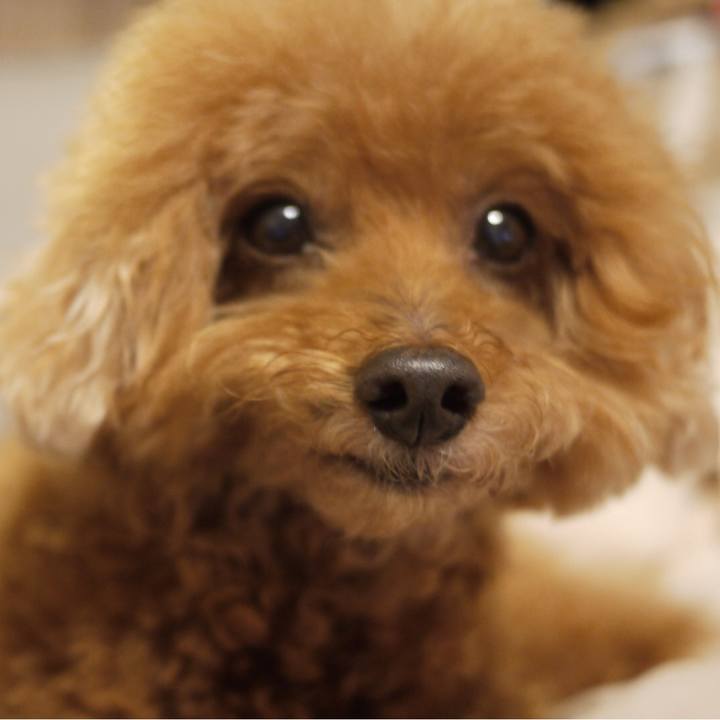 9726f734 a326 48d1 91fc a0767c82d49c 1539258368581