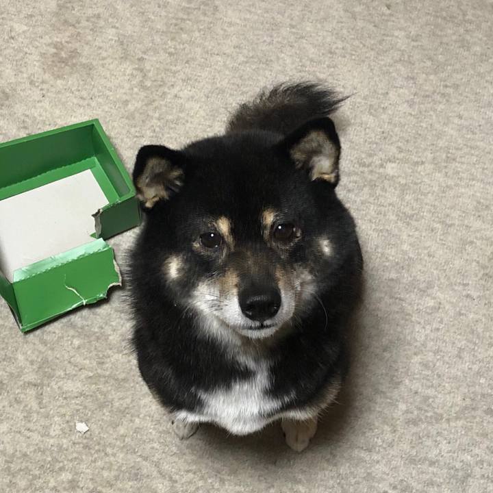 97275d9a 9fa1 4d24 acfa 904003233f24 1546774678720