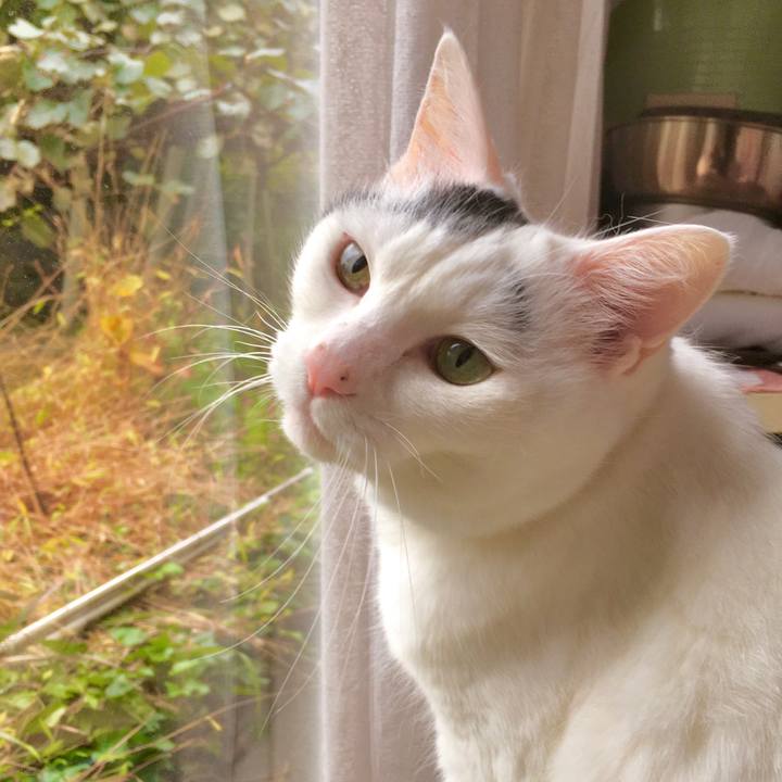 9727887a 2d1c 4c1f b3ef ff026eb7ef34 1571898367699