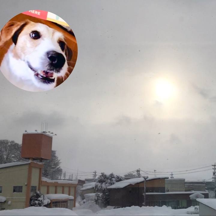 97279899 4619 4869 baa5 175716637b87 1548115605568