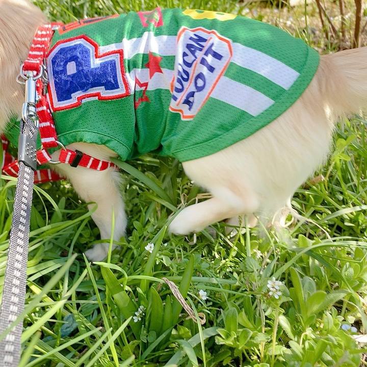 9727990f 4036 4d94 900b 8de34619399d 1615380057384