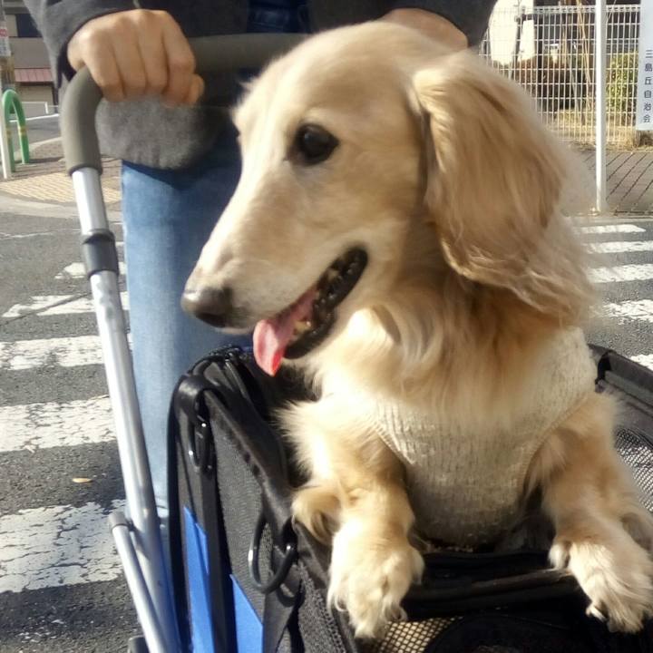 9727b7e8 2d74 42d9 8914 808f0ddd6329 1543729587733