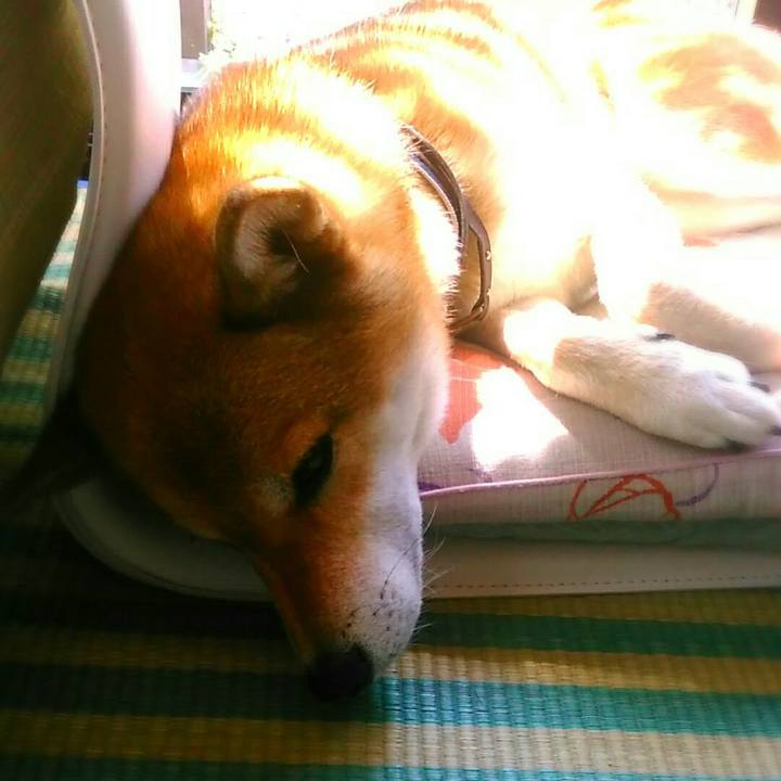 9727ecc6 a1e9 4884 ab4c aaab0a79e0ff 1568079191632