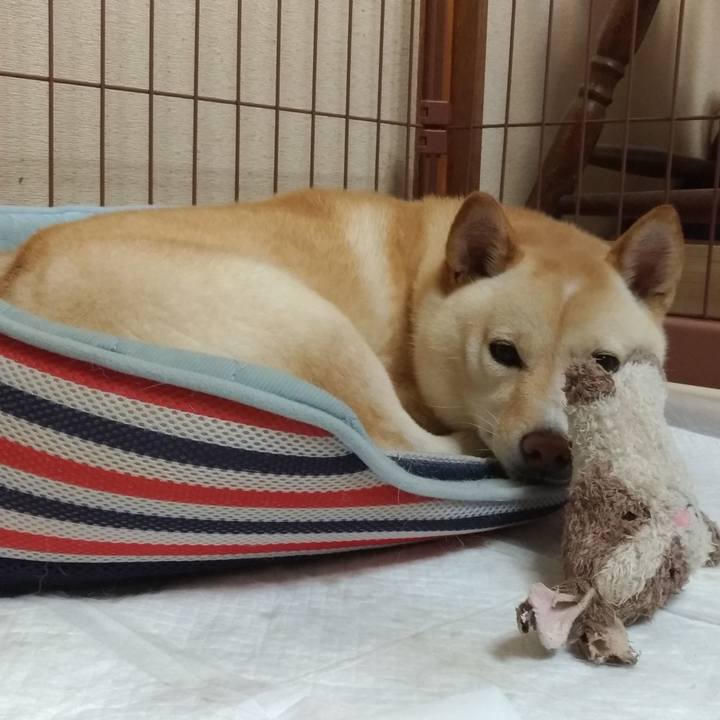 9727ef11 76ae 489b 9810 dde7c4cc68b8 1566733364382