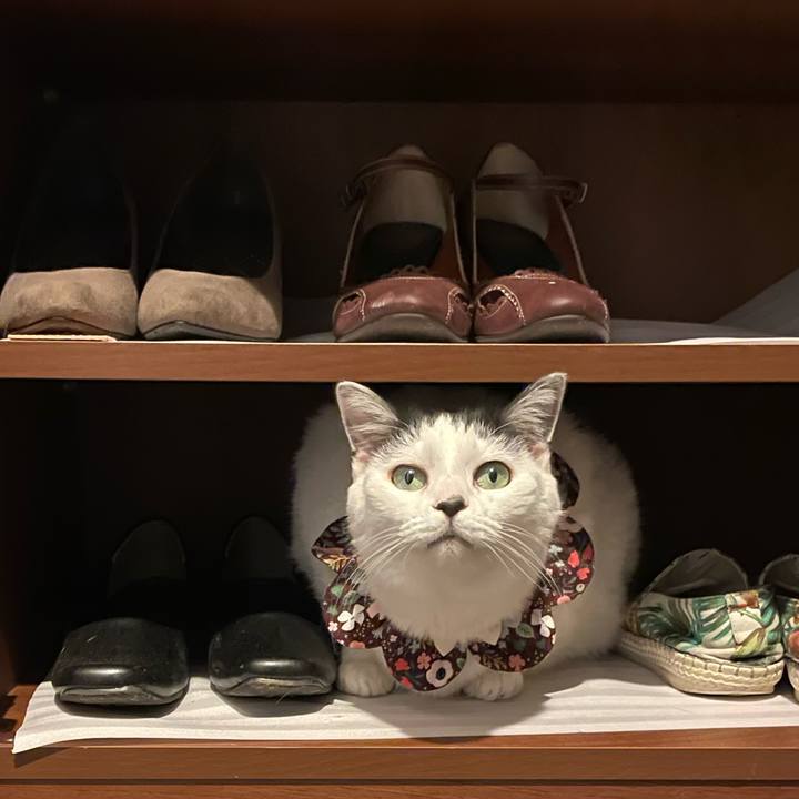 9727f1b7 15e9 4efb 95ef 0699d413b235 1677399161655