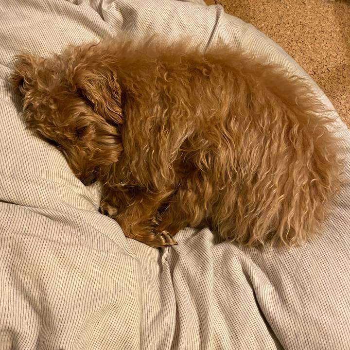 9728322f 37ae 4266 84f4 9e83bb73094e 1640213505406