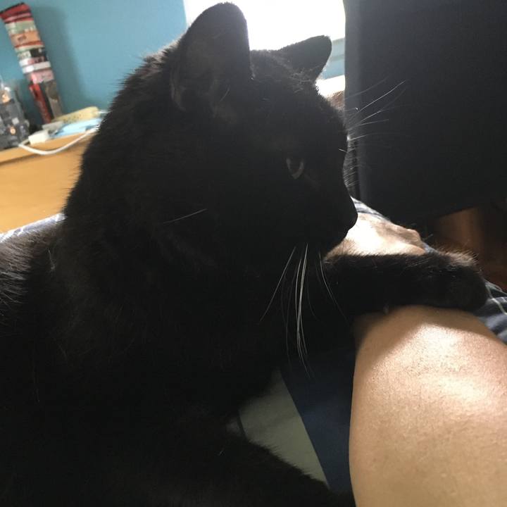 9728ee21 b706 409e 924e a65d2e4b176d 1618946112735