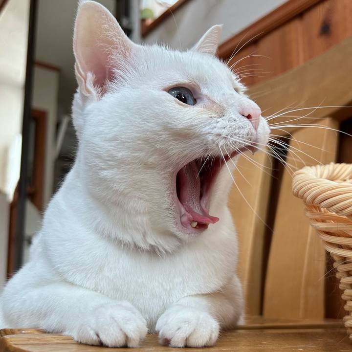 9728f96e cf49 4235 a8ef 6e6969941805 1688536274017