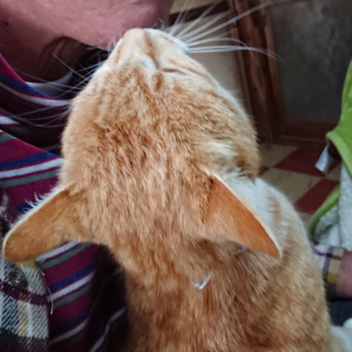 9729194e 5654 4d63 b5f5 74c548b032de 1587255689394