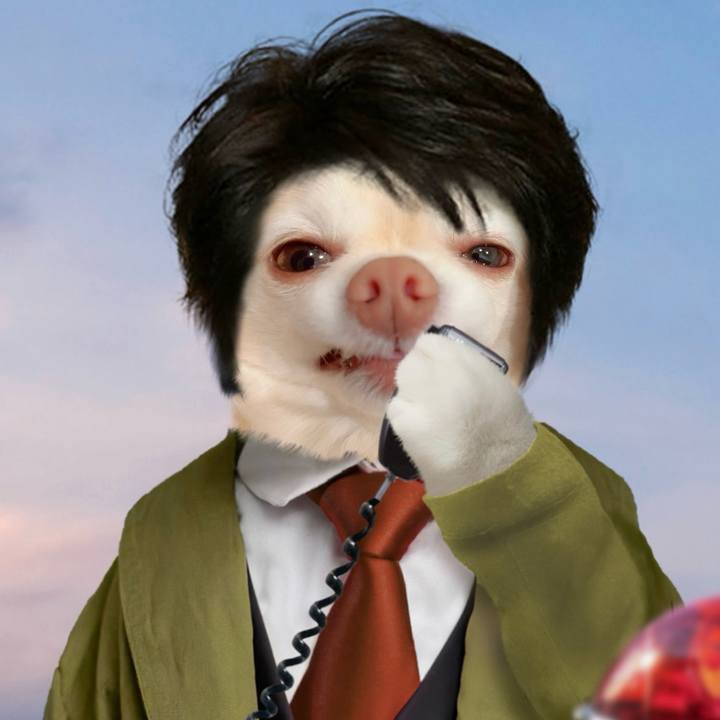 97291d54 e050 491b af1d cdab011412fb 1709193962581