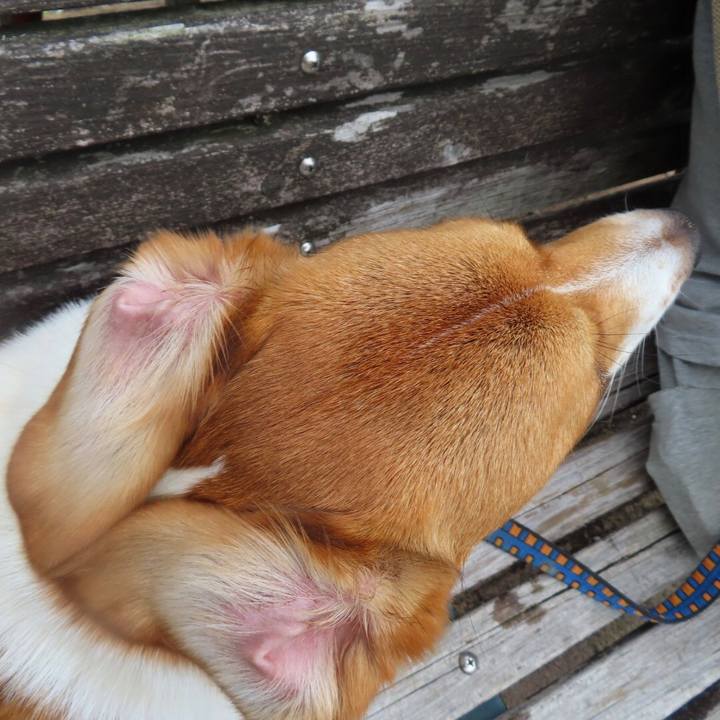 9729380f 22e6 4860 b50c c2f0e1c97bcc 1622508510352