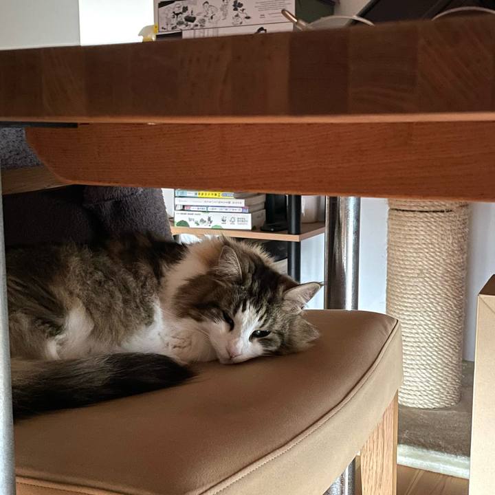 972963b9 a3a7 4521 bf3c 6d9d6dad1ea8 1714173944128