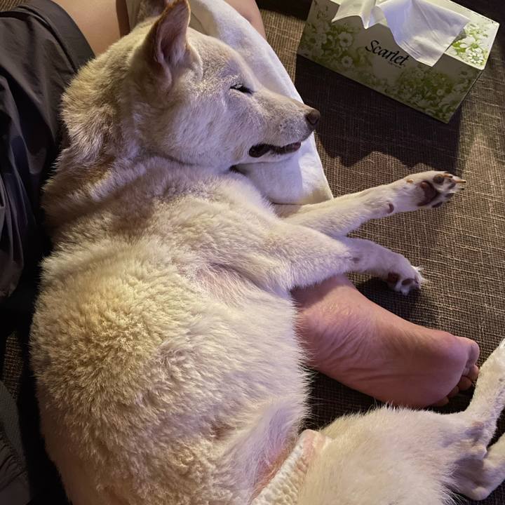 972967db de84 4c02 9eaf 03561eec4291 1666702240173