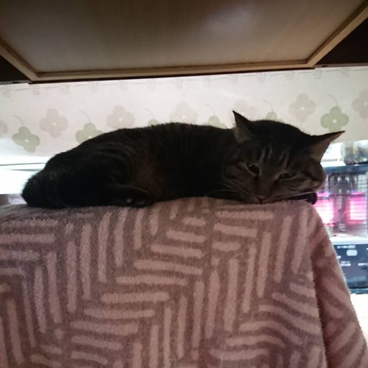 9729ade0 902e 42aa 9e30 bf9cbfe6f54d 1638046192601