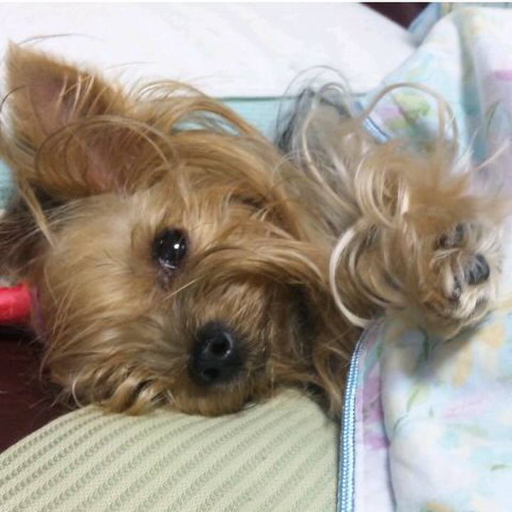 9729c83e 4eda 4b20 bb14 3910746a560c 1561173879095