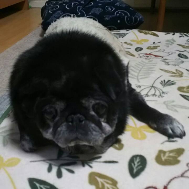 9729ea64 8c13 4b09 aefd f4da71a2eab9 1543056384232