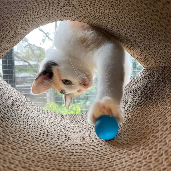 972a0135 8ec0 44ac aa32 d9431bb39fc2 1666655994003