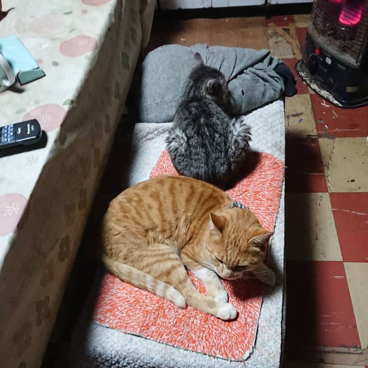 972a06af f02c 4c30 afeb 885d7c9f7a85 1574846240453