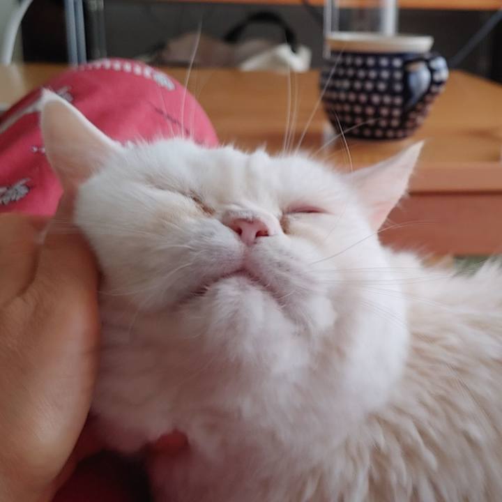 972abba1 f397 4e9d bd74 82feeb9addf3 1755142183700