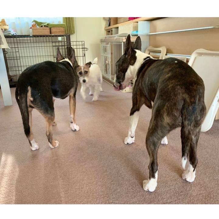 972acb82 2759 46b5 8768 64b25105f077 1583476037550