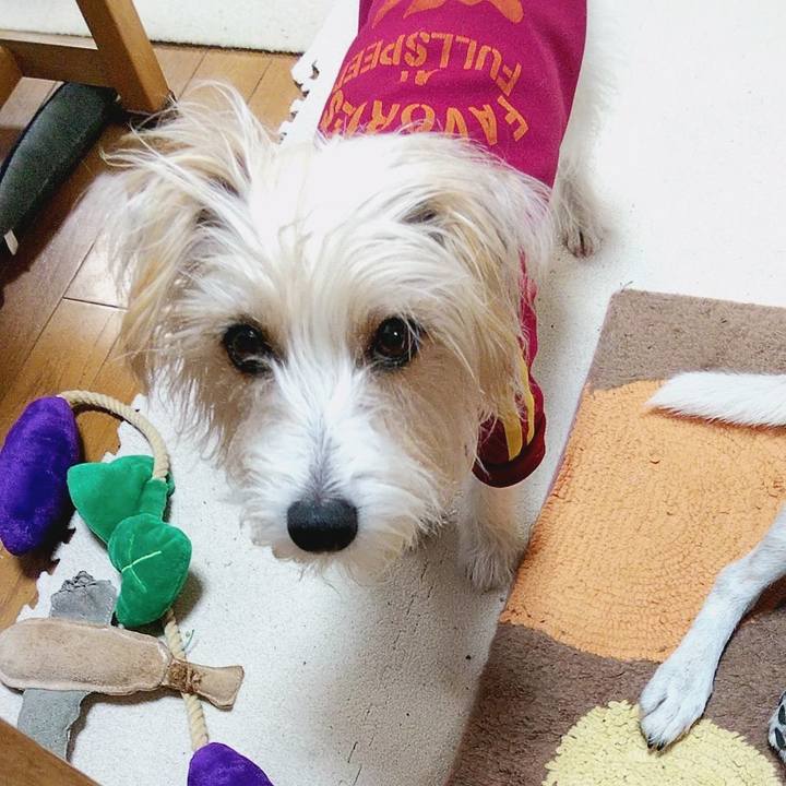 972ad895 2eb4 4e70 af85 6411630c395e 1580250845756