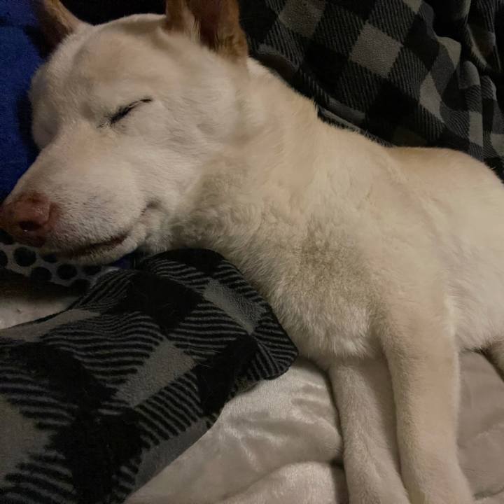 972b0d96 10a3 42ac a152 90d8442bc837 1636773446184