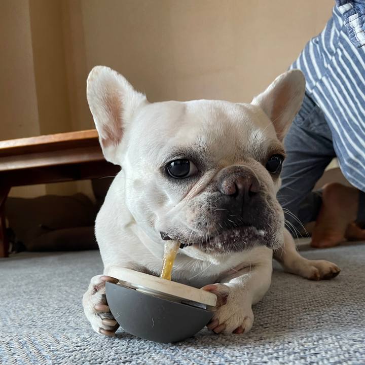 972b1f21 c1d0 4d75 85d7 fb065456549a 1749076156320