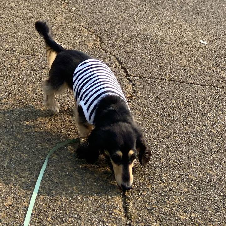 972b3bdb 3ecb 479d 924a 363e018a8700 1742972335255