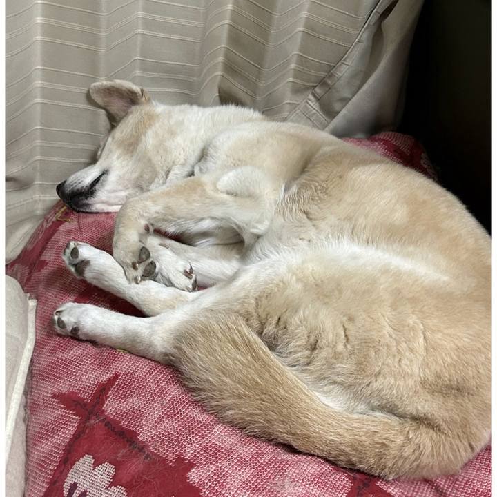 972b4235 33ee 4a1e 8139 7965697eb59d 1724339864162